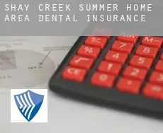 Shay Creek Summer Home Area  dental insurance