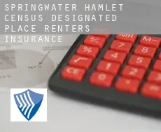 Springwater Hamlet  renters insurance