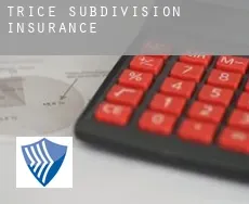 Trice Subdivision  insurance