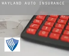 Wayland  auto insurance