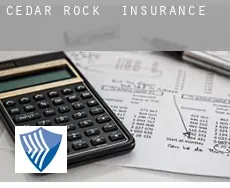 Cedar Rock  insurance