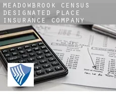 Meadowbrook  insurance company