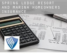 Spring Lodge Resort and Marina  homeowners insurance