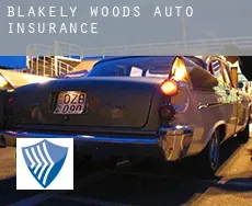 Blakely Woods  auto insurance