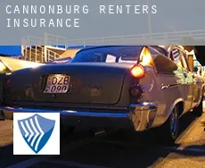 Cannonburg  renters insurance