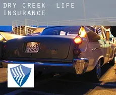 Dry Creek  life insurance