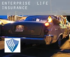 Enterprise  life insurance
