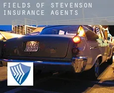 Fields of Stevenson  insurance agents