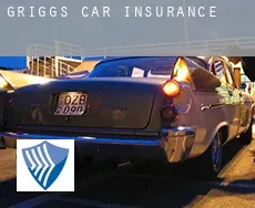 Griggs  car insurance