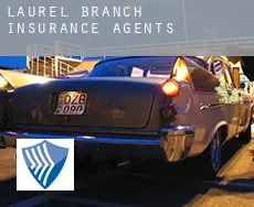 Laurel Branch  insurance agents