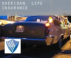 Sheridan  life insurance