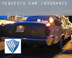 Tequesta  car insurance