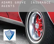 Adams Grove  insurance agents