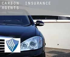 Carbon  insurance agents