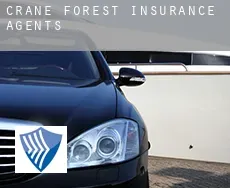 Crane Forest  insurance agents