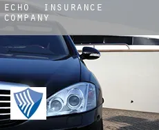 Echo  insurance company