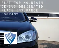 Flat Top Mountain  insurance company