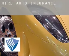 Hird auto insurance
