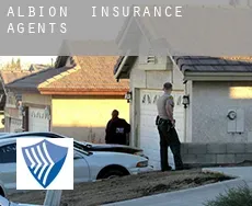 Albion  insurance agents