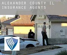 Alexander County  insurance agents