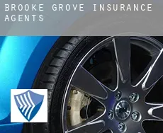 Brooke Grove  insurance agents