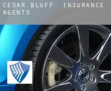Cedar Bluff insurance agents