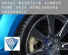 Grass Mountain Summer Home Area  homeowners insurance