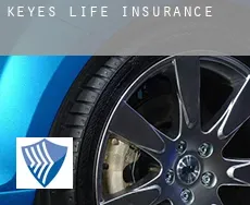 Keyes  life insurance