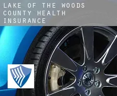 Lake of the Woods County  health insurance