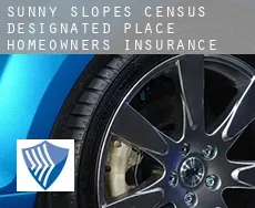 Sunny Slopes  homeowners insurance