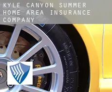Kyle Canyon Summer Home Area  insurance company