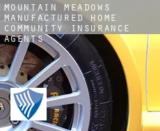 Mountain Meadows Manufactured Home Community  insurance agents
