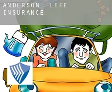 Anderson  life insurance