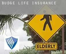 Budge  life insurance