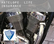 Antelope  life insurance