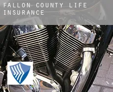 Fallon County life insurance