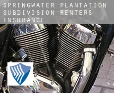 Springwater Plantation Subdivision  renters insurance