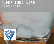 Alder Bend  life insurance