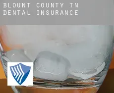 Blount County  dental insurance