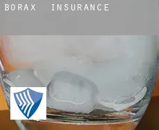 Borax  insurance