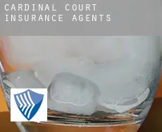 Cardinal Court  insurance agents