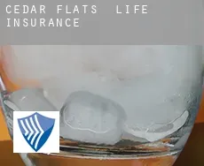 Cedar Flats  life insurance