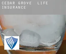 Cedar Grove  life insurance