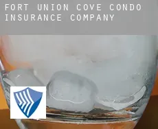Fort Union Cove Condo  insurance company
