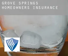 Grove Springs  homeowners insurance