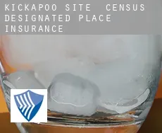 Kickapoo Site 1  insurance