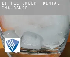 Little Creek dental insurance