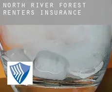 North River Forest  renters insurance