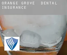 Orange Grove  dental insurance
