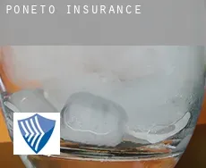 Poneto  insurance